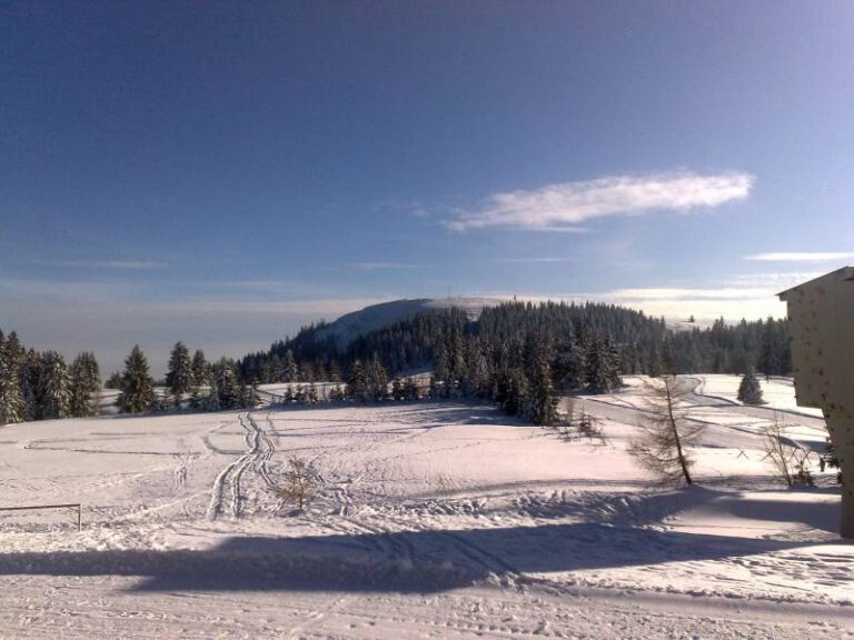Blick zum Herzogenhorn