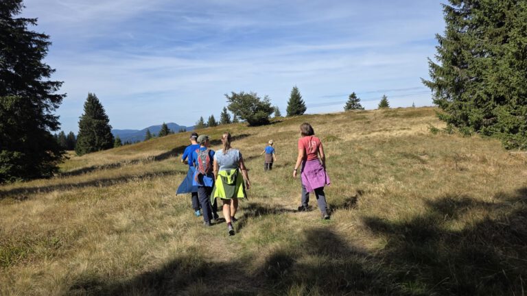 Wanderung zum Vereinsfest